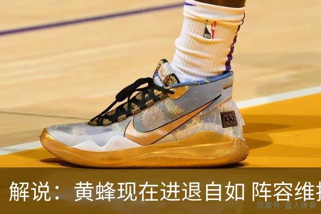 解说：黄蜂现在进退自如 阵容维持一定竞争力 可重建也可追逐球星