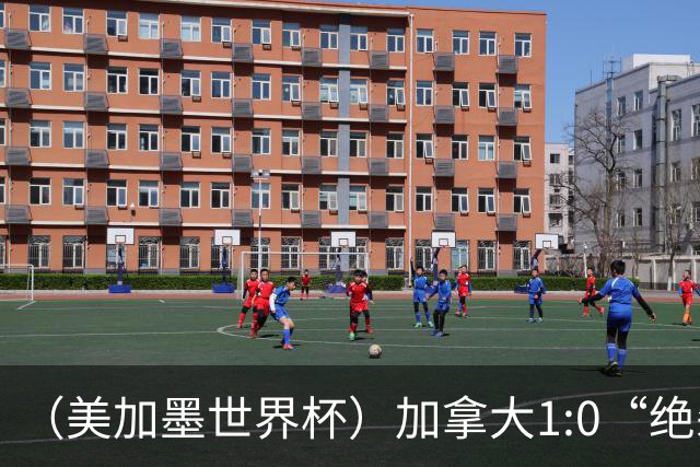 （美加墨世界杯）加拿大1:0“绝杀”南非 队史首进16强